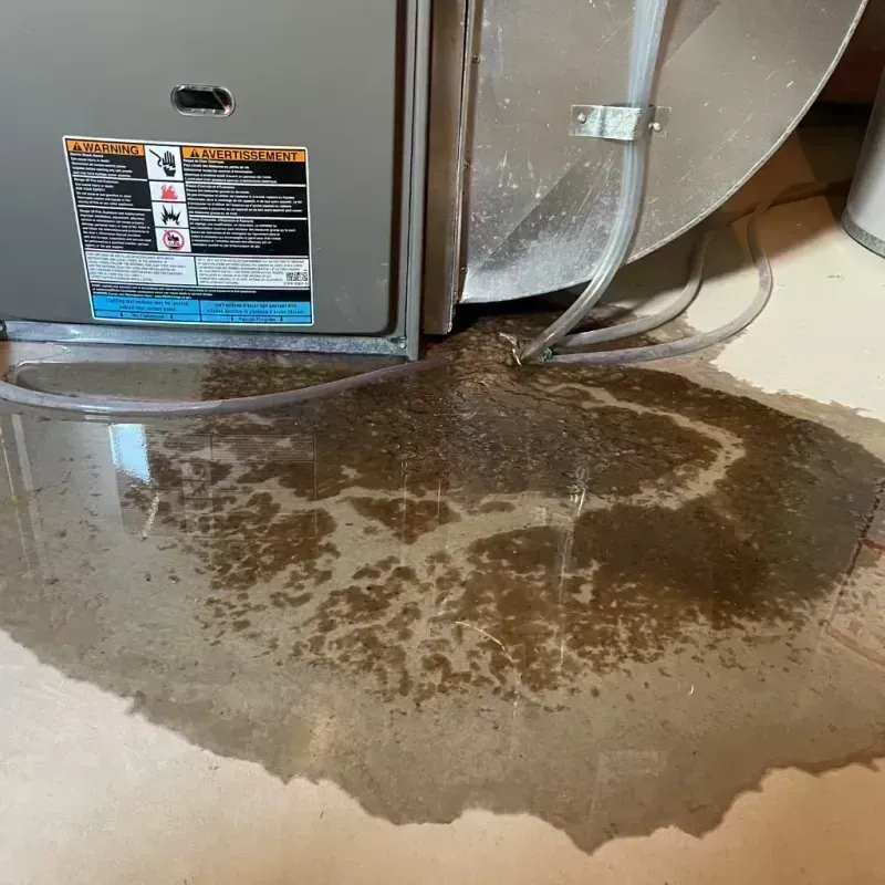 Appliance Leak Cleanup in Earlville, IL